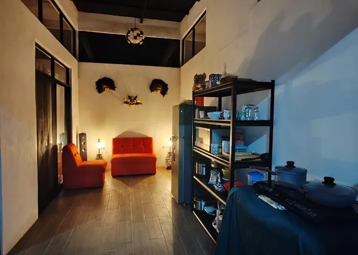 Apartment Howler Monkey Potrero Playa Flamingo